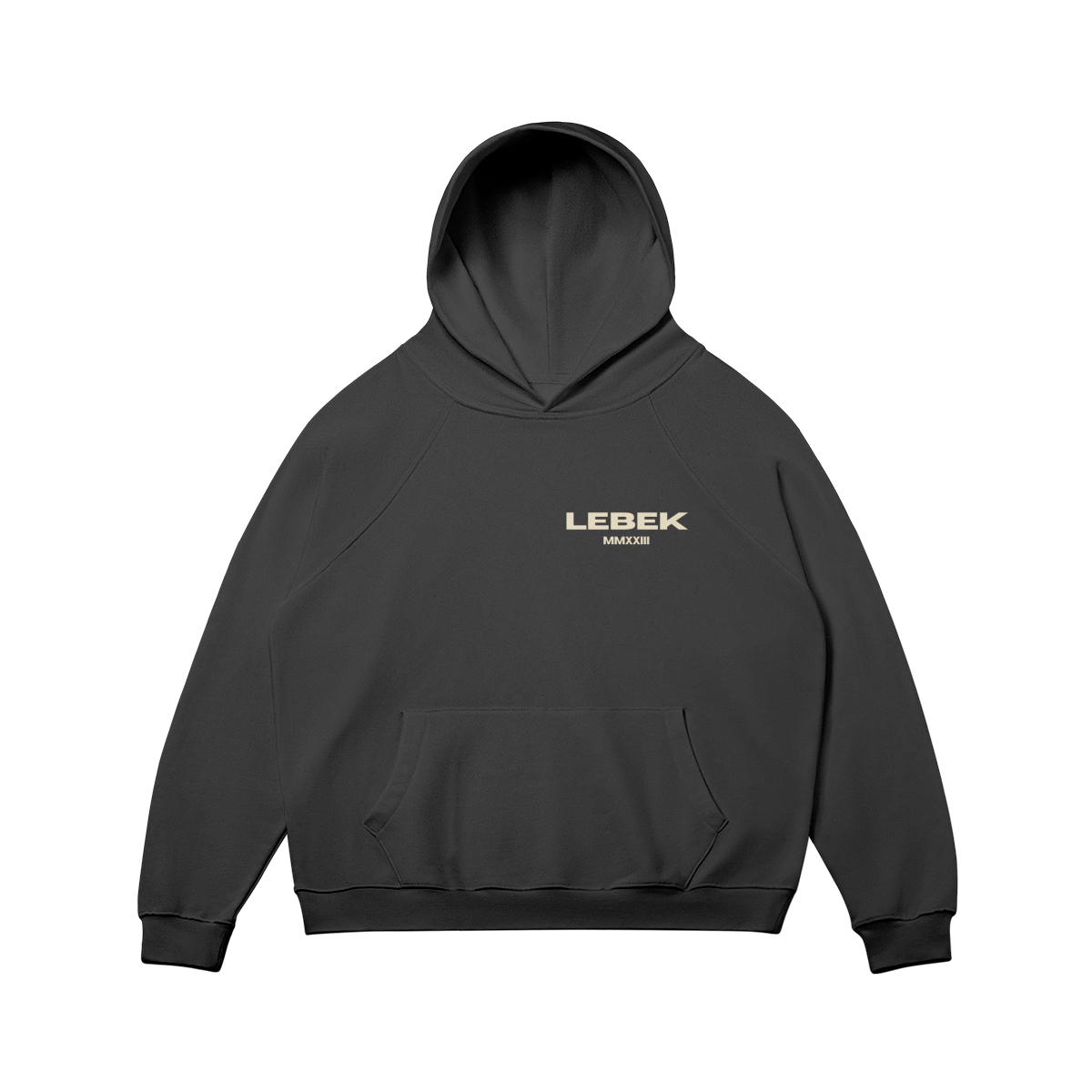 Script MMXXIII Oversized Hoodie